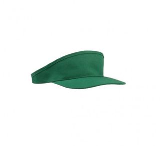 2-0102-010-3050 Daszek zielony