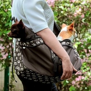 5-3226-205-5011 Torba do przenoszenia psa Beverly Hills - rozmiar M - kolor braz